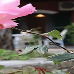 Pieros Tsimis * Παλαιοκαστρίτσα